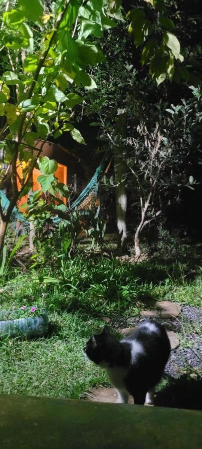 Tenda Da Lua Alto Paraíso de Goiás エクステリア 写真