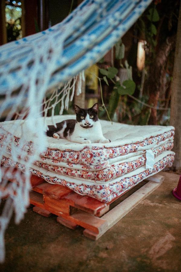 Tenda Da Lua Alto Paraíso de Goiás エクステリア 写真